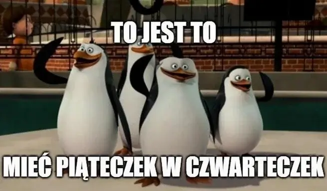 Mem: pingwiny z bajki Madagaskar cieszą się z piątku w czwartek w ramach czterodniowego tygodnia pracy.