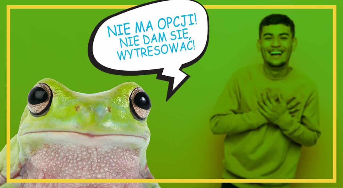 “O co chodzi z tą żabą?”- sourcing w rekrutacji