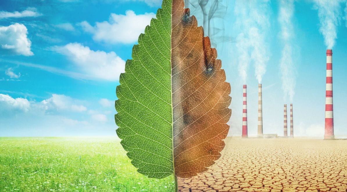 Ilustracja do notatki prasowej pt. "VII edycja "Wspieramy klimat - Biznes kontra smog" zakończona: wolontariusze przeprowadzili warsztaty już dla 70 tys. dzieci"